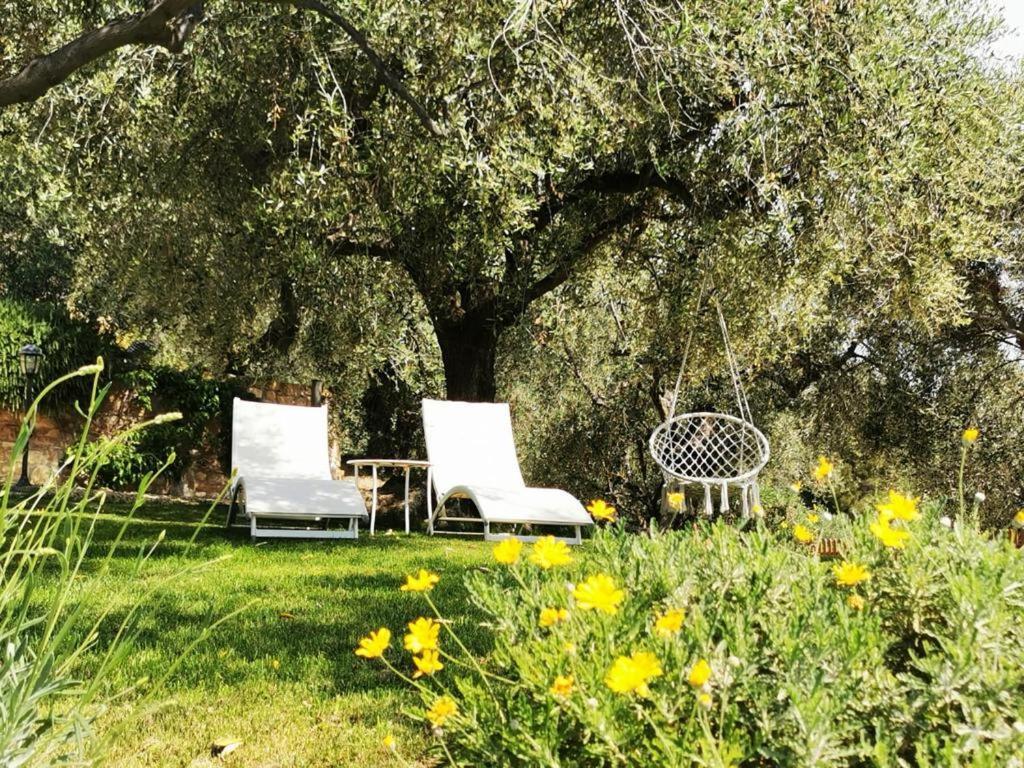 Agriturismo C'Era Una Volta Camporosso  Exteriör bild