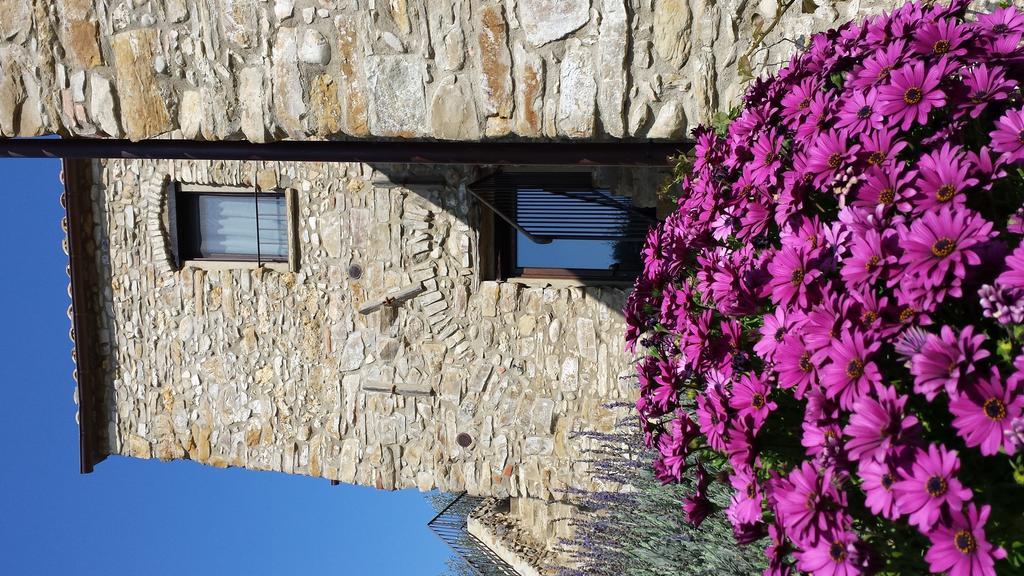 Agriturismo C'Era Una Volta Camporosso  Exteriör bild