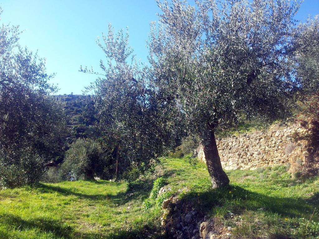 Agriturismo C'Era Una Volta Camporosso  Exteriör bild