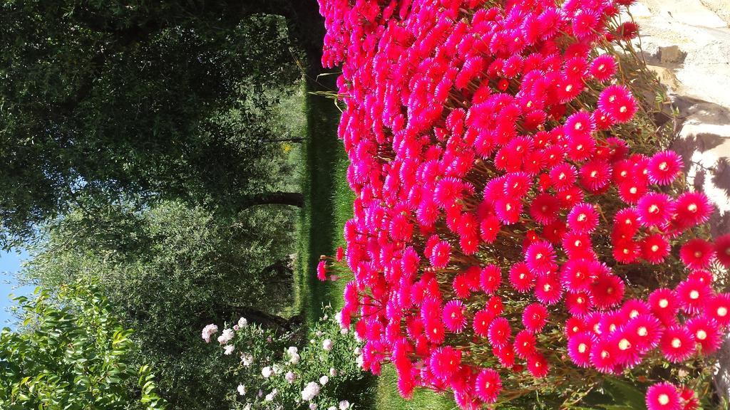 Agriturismo C'Era Una Volta Camporosso  Exteriör bild